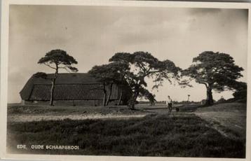 Ede Oude Schaapskooi fotokaart Sibbles  st 1935 beschikbaar voor biedingen
