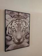Canvas 60/70 per stuk €8, Ophalen of Verzenden, 50 tot 75 cm, Schilderij, 50 tot 75 cm