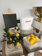 Alles voor tuinfeest / verjaardag (thema: limoncello), Ophalen, Overige materialen, Gebruikt, Bord(en)