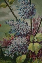 frankrijk relief 1908 lila seringen insect BIJ, Verzamelen, Ansichtkaarten | Themakaarten, Gelopen, Overige thema's, Ophalen, Voor 1920