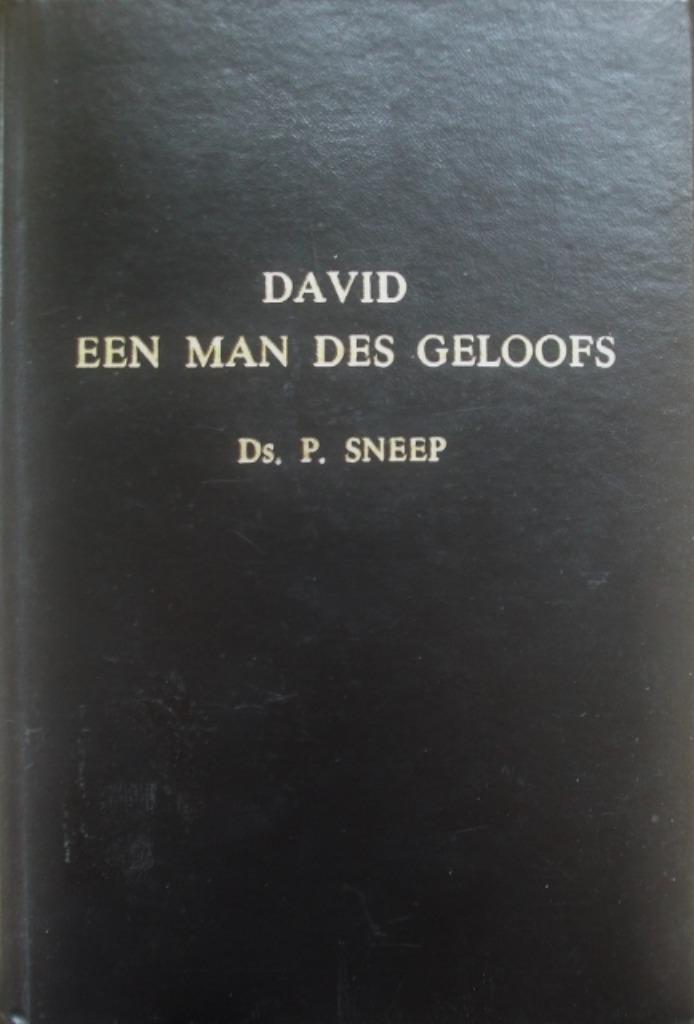 ds. P. Sneep (CGK) - David een man des geloofs - 7 preken, Boeken, Godsdienst en Theologie, Gelezen, Christendom | Katholiek, Christendom | Protestants