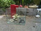 Aquarium met verlichting en pomp, Ophalen, Zo goed als nieuw, Leeg aquarium