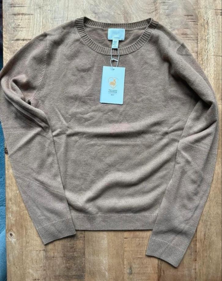 H&M Cashmere Trui - Nieuw met kaartje, Kleding | Dames, Truien en Vesten, Nieuw, Maat 36 (S), Bruin, Ophalen of Verzenden