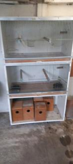 Tekoop vogelkooien, Ophalen, Gebruikt, Hout, Vogelkooi