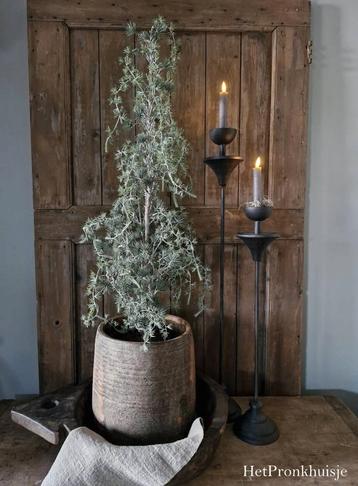 Nieuw. Kerstboom. Ceder boom. Landelijk sober brocante  beschikbaar voor biedingen