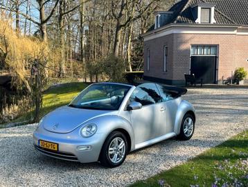 Volkswagen NEW BEETLE Cabriolet 1.6 Turijn Comfortline ORIGI beschikbaar voor biedingen