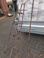 Schrikdraad paaltjes, Meerdere dieren, Schaap, 6 jaar of ouder