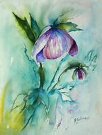 Helleborus, kunstposter 75x25 cm., Verzenden