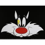 Looney Tunes poster bij Stichting Superwens!, Nieuw, Rechthoekig Liggend, Ophalen of Verzenden, A1 t/m A3