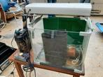 SuperFish Home aquarium met accessoires, Dieren en Toebehoren, Ophalen