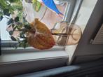 Vaas met kunstbloem, Ophalen, Zo goed als nieuw, Overige kleuren, Glas
