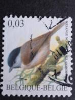 België 64 glanskopmees, Ophalen of Verzenden