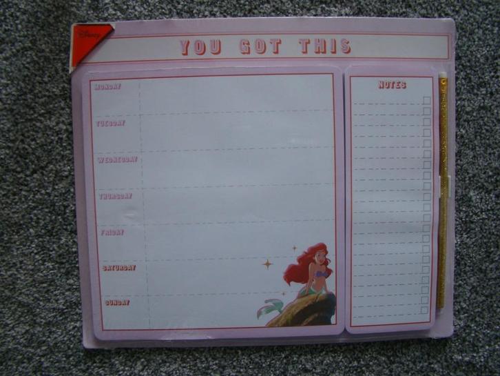 Superleuke DISNEY weekplanner / NIEUW in plastic, Diversen, Agenda's, Nieuw, Ophalen of Verzenden