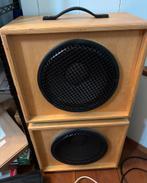 2 x EVM 12L Open-Back Speakerkasten, Ophalen, Zo goed als nieuw, 100 watt of meer