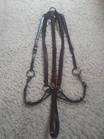 Nieuw ! Borsttuig met martingaal Kingsley, Dieren en Toebehoren, Ophalen of Verzenden, Nieuw, Overige soorten