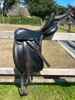 Kieffer Lusitano dressuur, Ophalen, Gebruikt, Dressuur