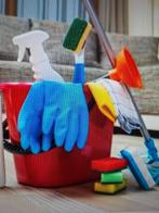 huishoudelijke hulp gezocht, Schoonmaken