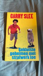 Geklutste geheimen met strafwerk toe van Carry Slee, Carry Slee, Ophalen of Verzenden, Zo goed als nieuw, Fictie