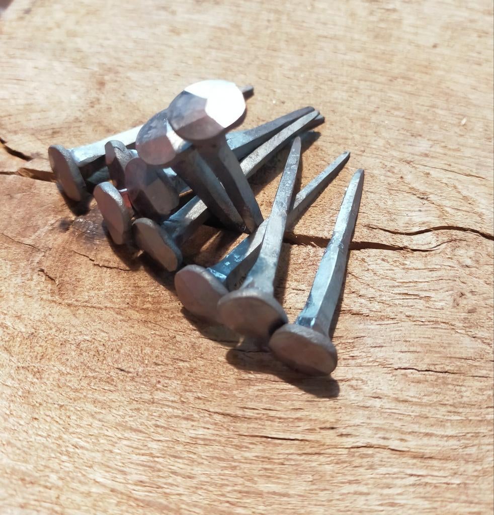 Hand gesmede spijkers 10 stuks, Ophalen of Verzenden, Nieuw, 50 tot 100 mm, Spijkers