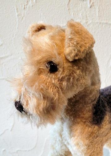 Mooie grote antieke Airedale Terrier 1948/48 beschikbaar voor biedingen