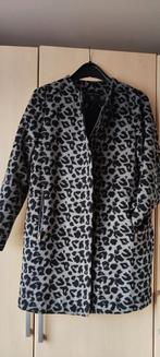 Herfst/ winter jas van Dorothy Perkins., Kleding | Dames, Jassen | Winter, Ophalen of Verzenden, Zo goed als nieuw