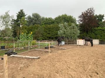 Paddock Paradise  beschikbaar voor biedingen