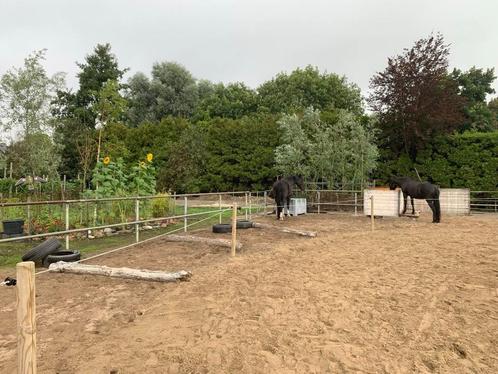 Paddock Paradise, Dieren en Toebehoren, Stalling en Weidegang, Stalling, Weidegang