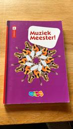 Rinze van der Lei - Muziek Meester!, Rinze van der Lei; Lieuwe Noordam; Frans Haverkort, Ophalen of Verzenden, Zo goed als nieuw