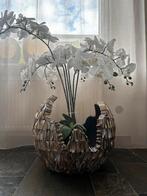 Mooie schelpenvaas, Huis en Inrichting, Ophalen of Verzenden, Overige kleuren, Glas, Minder dan 50 cm