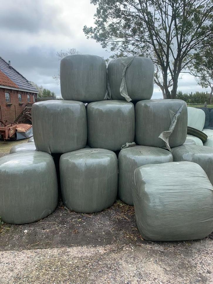 Midibalen Kuilgras te Koop, Dieren en Toebehoren, Dierenvoeding, Vee, Ophalen of Verzenden