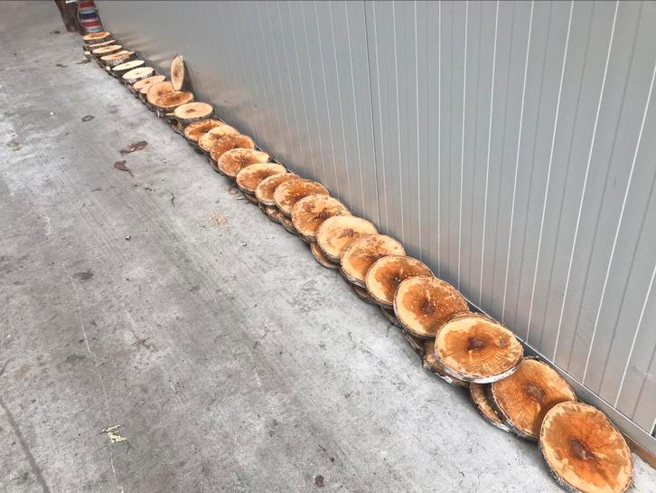 Boomstam schijven bij oussoren haardhout vinkeveen, Tuin en Terras, Haardhout, Minder dan 3 m³, Ophalen