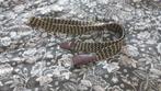 Elastische gevlochten riem, 95 tot 105 cm, Overige kleuren, Echt leder, Ophalen of Verzenden