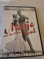 Meisje met de blauwe hoed, Alle leeftijden, Overige genres, Ophalen of Verzenden, Zo goed als nieuw