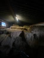 Hooi, Dieren en Toebehoren, Dierenvoeding, Ophalen, Vee