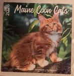 Main Coon cats/katten kalender 2026, NIEUW, Ophalen of Verzenden, Nieuw, Katten