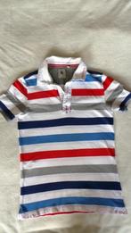 Gaastra polo maat M gestreept, Kleding | Heren, Ophalen of Verzenden, Zo goed als nieuw, Maat 48/50 (M), Gaastra