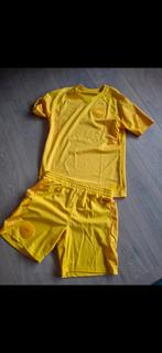 Denemarken Hummel Set Nieuw, Sport en Fitness, Voetbal, Ophalen of Verzenden, Nieuw, Shirt