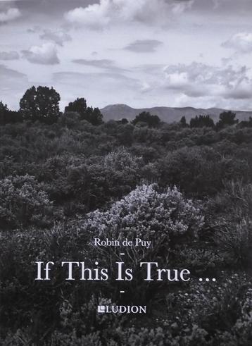Robin de Puy - If This Is True (gesigneerd) beschikbaar voor biedingen
