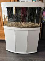 Aquarium vision juwel 180 liter met onderkast, Ophalen, Gebruikt, Leeg aquarium
