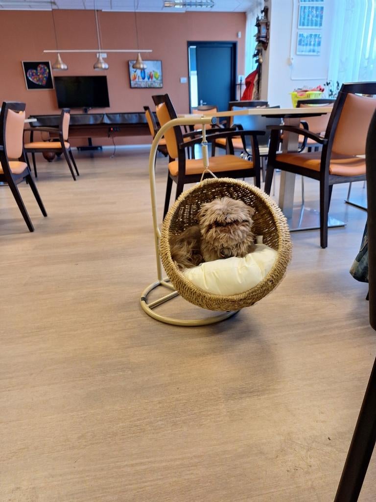 Schommel stoel van riet, Ophalen of Verzenden