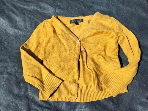 Vestje Petit Louie 4-6 jaar, Kinderen en Baby's, Kinderkleding | Maat 110, Gebruikt, Meisje, Trui of Vest, Ophalen of Verzenden