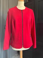 Barbara Lebek jasje, Kleding | Dames, Ophalen of Verzenden