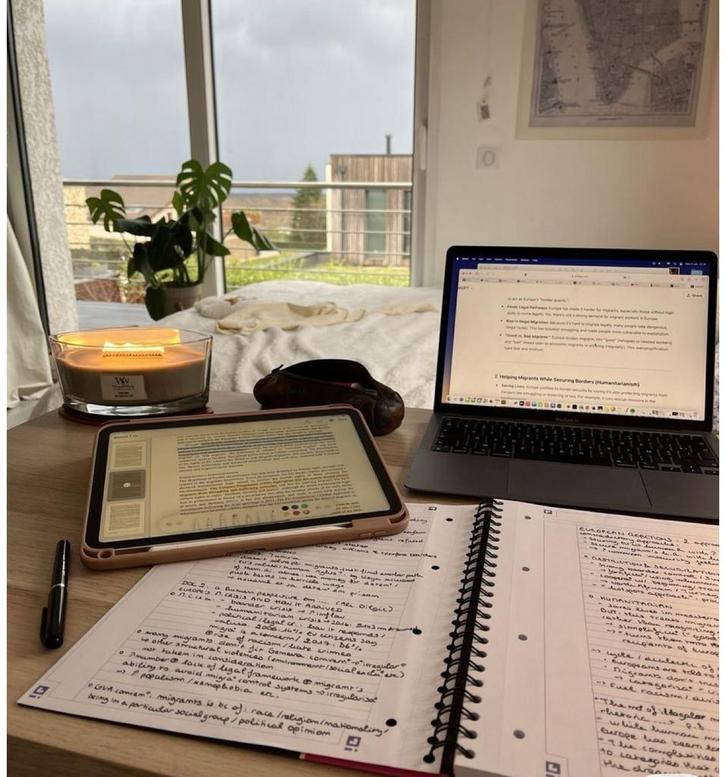 Advocaat geeft scriptiebegeleiding rechten, Diversen, Bureau-accessoires, Nieuw, Ophalen of Verzenden