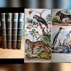 4 boeken 1840 handgekleurde prenten naturelle histoire, Ophalen of Verzenden