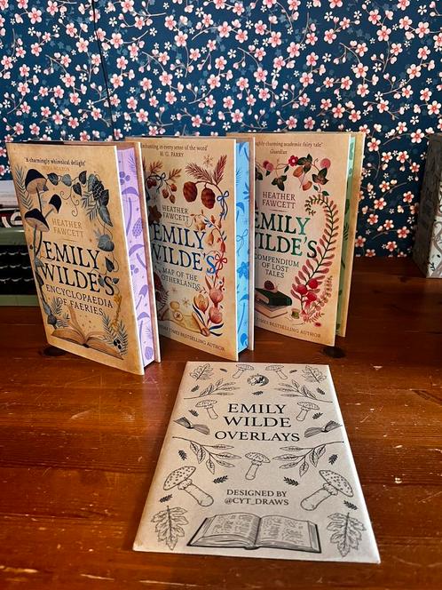 Emily wilde, Boeken, Fantasy, Zo goed als nieuw, Ophalen of Verzenden