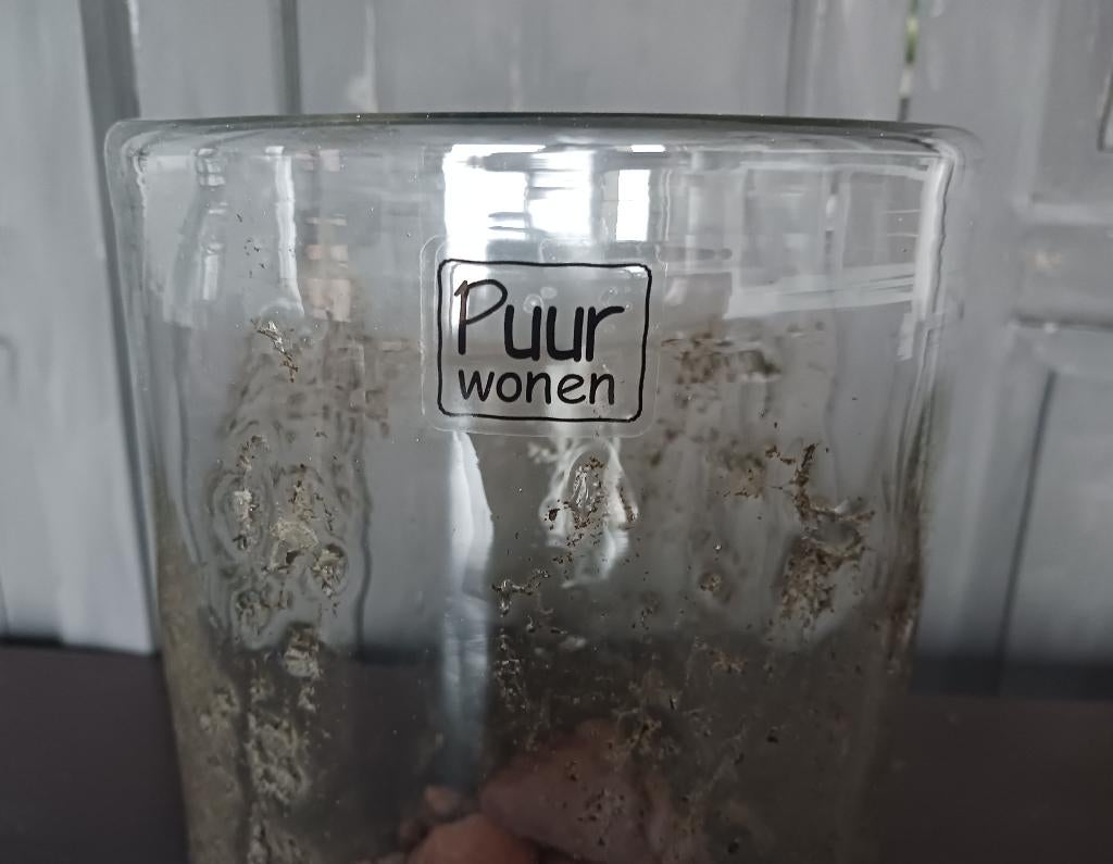 Windlicht Puur Wonen, Huis en Inrichting, Woonaccessoires | Kandelaars en Kaarsen, Zo goed als nieuw, Kandelaar, Minder dan 25 cm