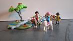 Playmobil 6947 Paardrijles Set Compleet, Ophalen of Verzenden, Zo goed als nieuw, Complete set