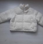 The north face teddy jas, Kleding | Dames, Jassen | Winter, Ophalen, Zo goed als nieuw, Maat 38/40 (M), Wit