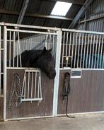 Pensionstal Horses in Harmony 2 stallen vrij, Stalling, 2 of 3 paarden of pony's