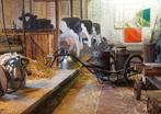 Gezocht oud melk gereedschap melkbussen melkapperaat, Antiek en Kunst, Ophalen
